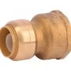 Buy 😍 SharkBite Push to Connect 3/4 in. Push X 1 in. D FIP Brass Connector 🛒