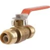 Wholesale 🌟 SharkBite 1/2 in. Brass Push Fit Ball Valve ⌛